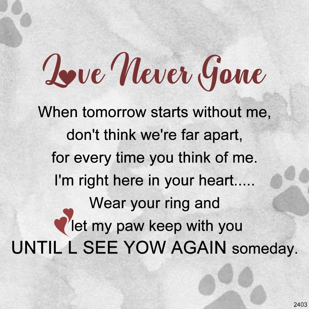 "Angel's Companion" Love Never Gone Tiny Paw With Wings Ring