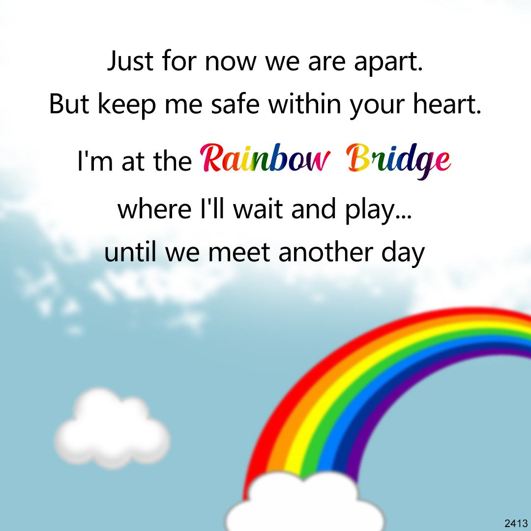 Until We Meet Another Day Memorial Bead Bracelet