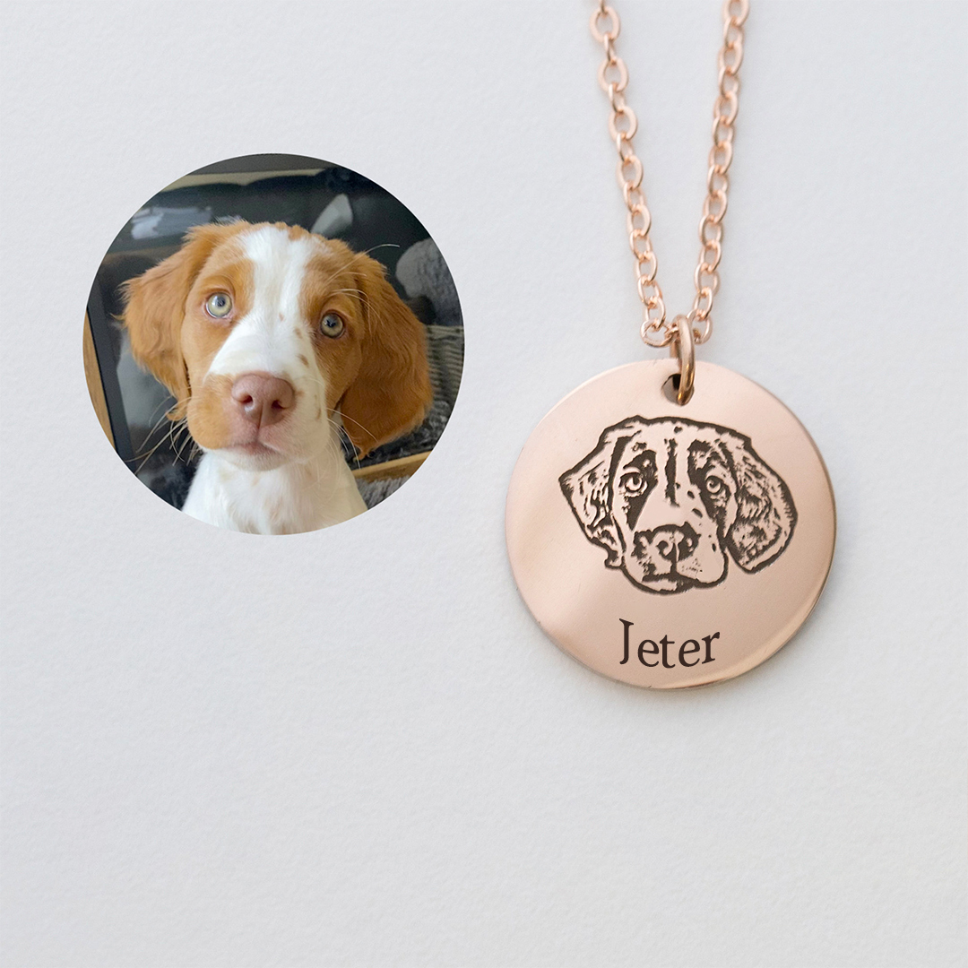 I crossed the rainbow bridge-Custom Pet Face and Name Portrait Necklace