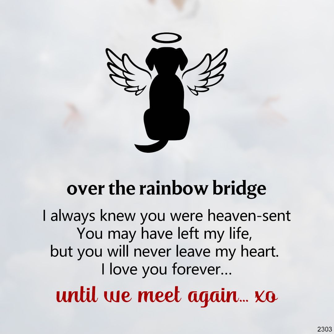 You will never leave my heart Rainbow Bridge Paw Print Cremation Urn Necklace