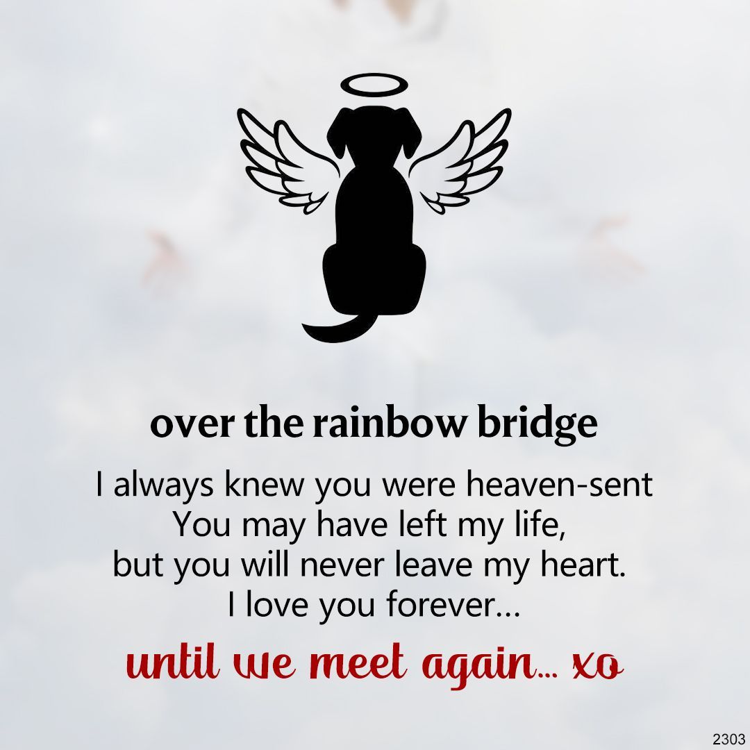 You will never leave my heart Rainbow Bridge Paw Print Cremation Urn Necklace