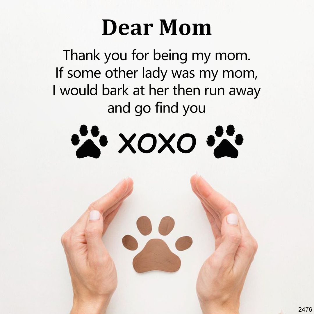 Carry Their Love Closer – Custom Name Pet Portrait Pendant Necklace