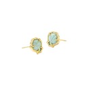 Blue shell earrings