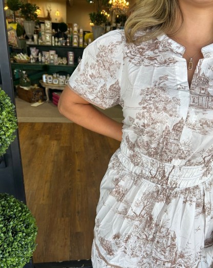 Classic Charm Toile Maxi Dress