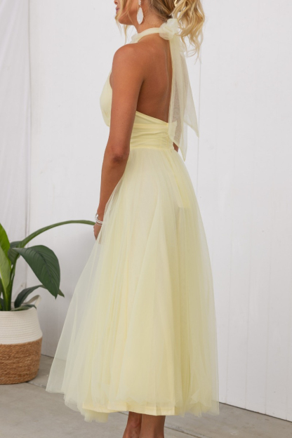 Gathered Detail Halter Maxi Dress