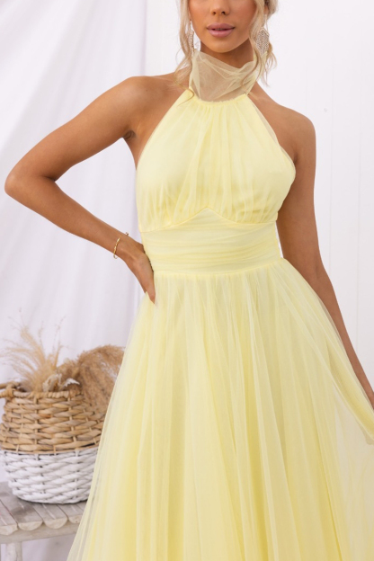 Gathered Detail Halter Maxi Dress