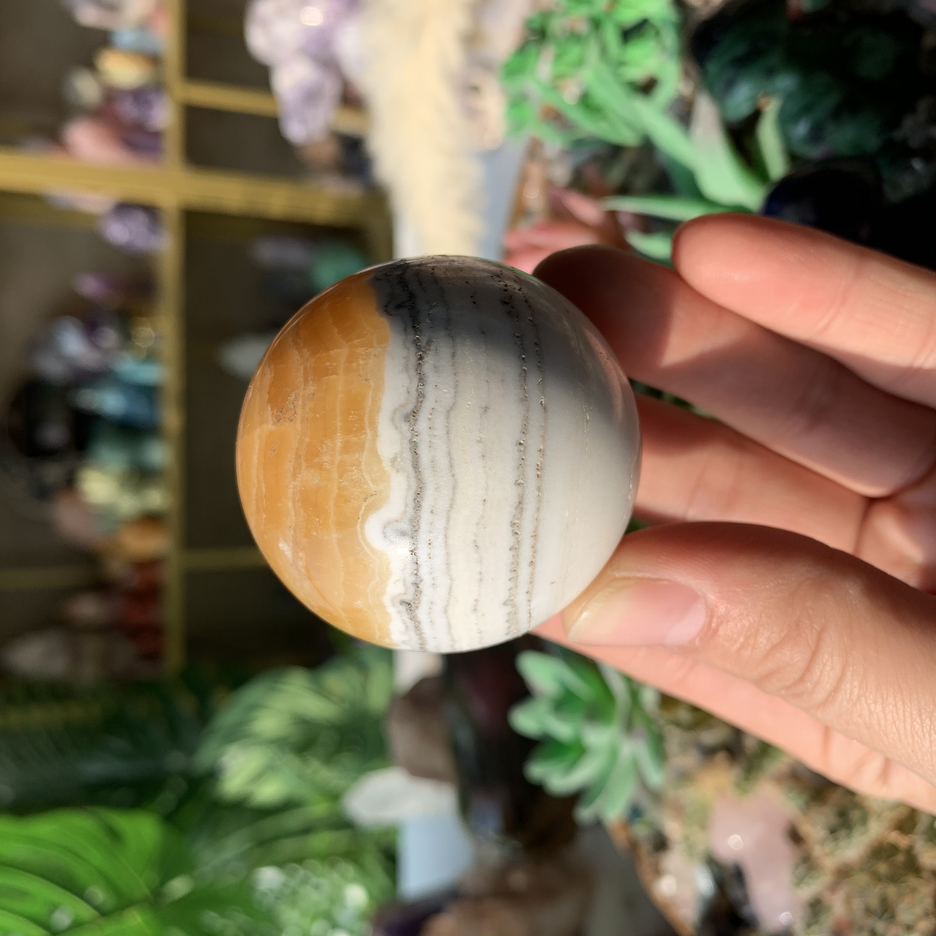 【Weekly Flash Deals】Carving 109