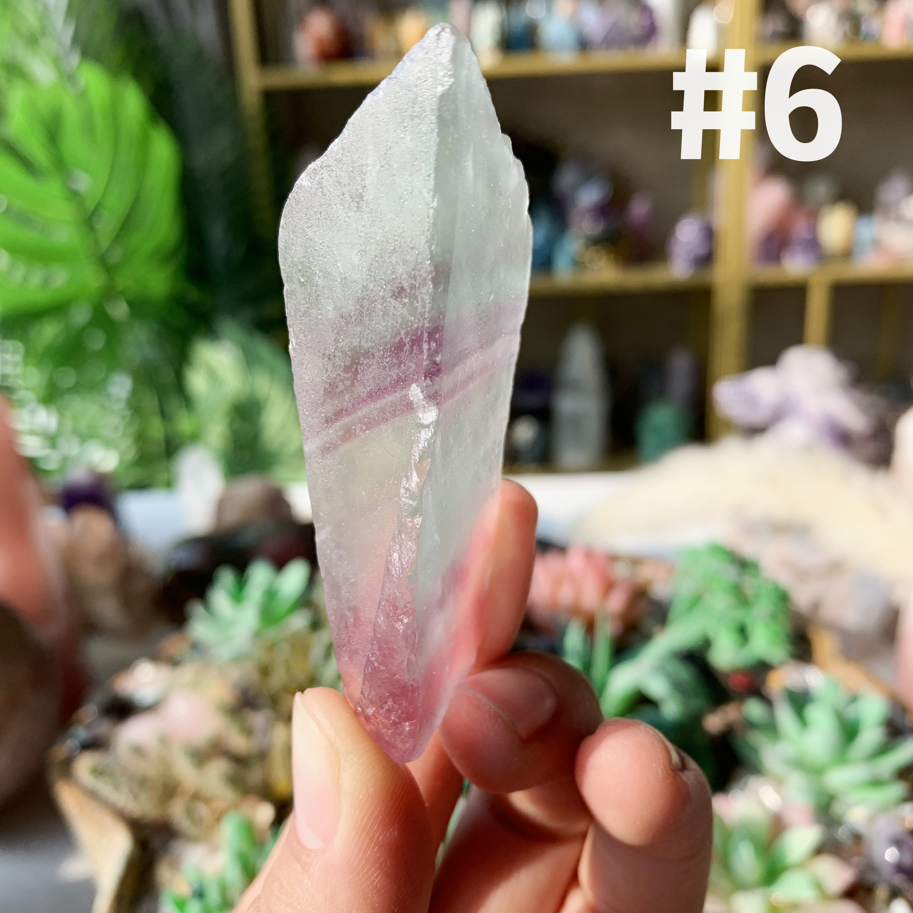 【Weekly Flash Deals】Rainbow Fluorite Slice