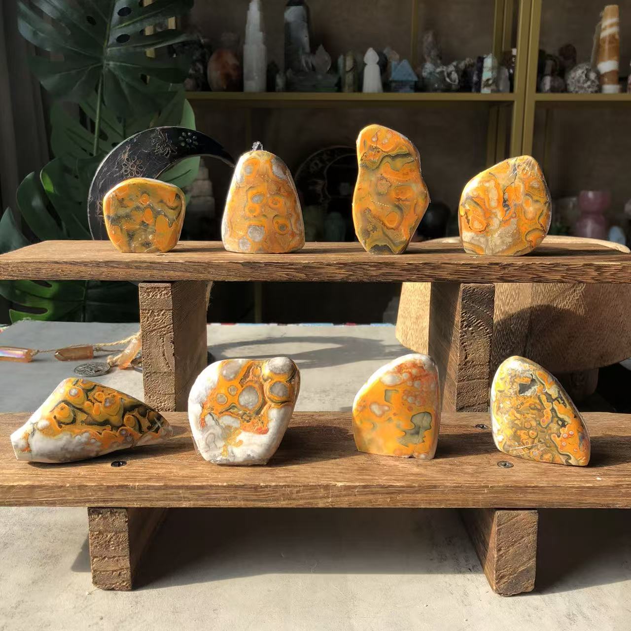 【Weekly Flash Deals】Bubblebee Jasper Free From