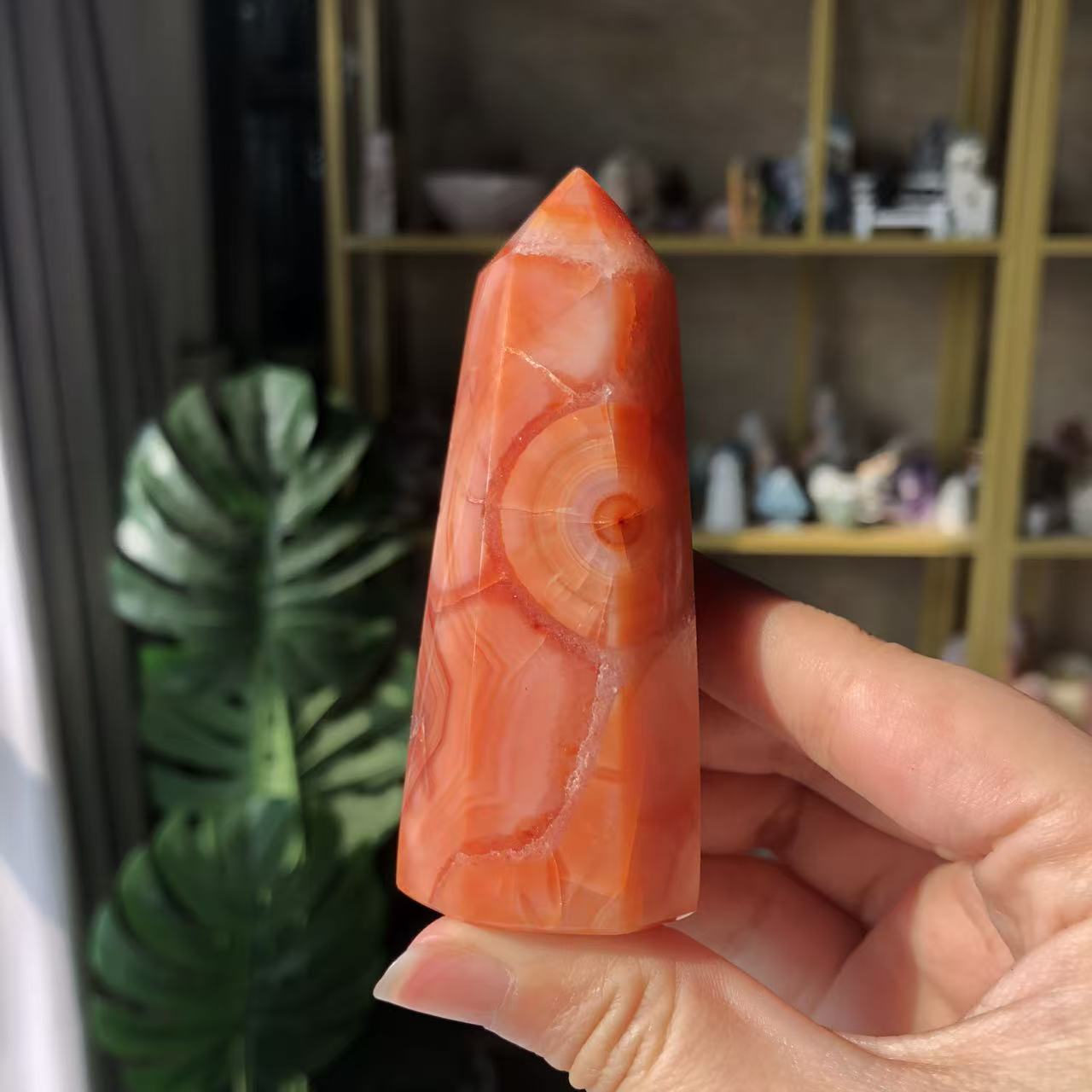 【Weekly Flash Deals】 Carnelian Tower 