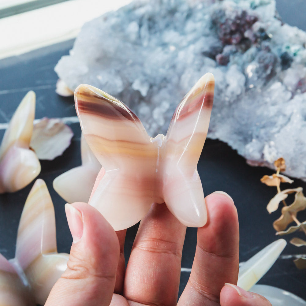 【Weekly Flash Deals】 Pink Pistachio Calcite Butterfly