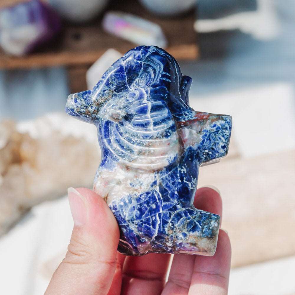 Reikistal 3'' Sodalite Elephant