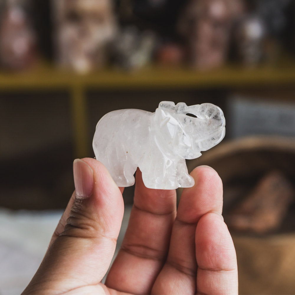 Reikistal 2‘’ Clear Quartz Elephant