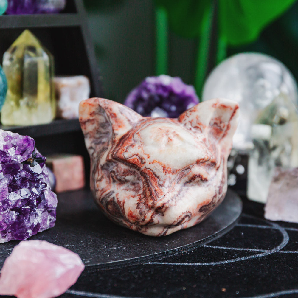 Reikistal Dali Jasper Cat Head