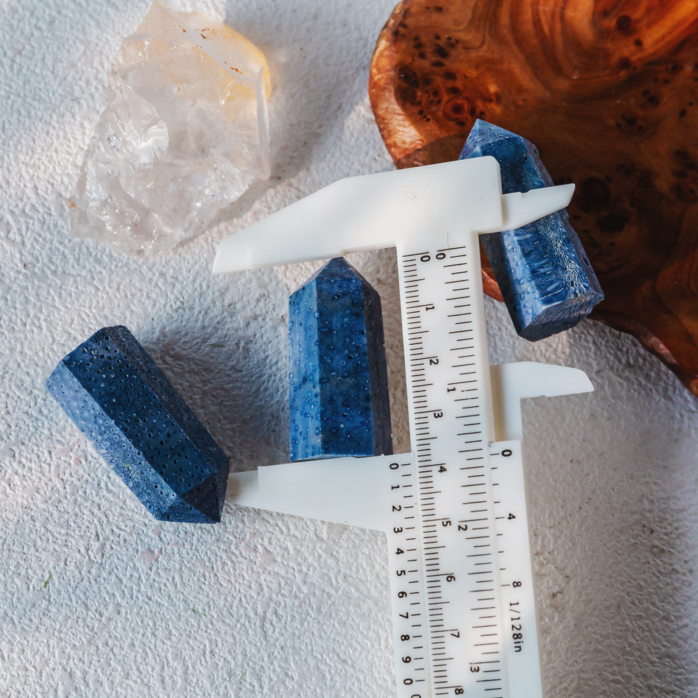 Reikistal 2'' Blue Coral Point
