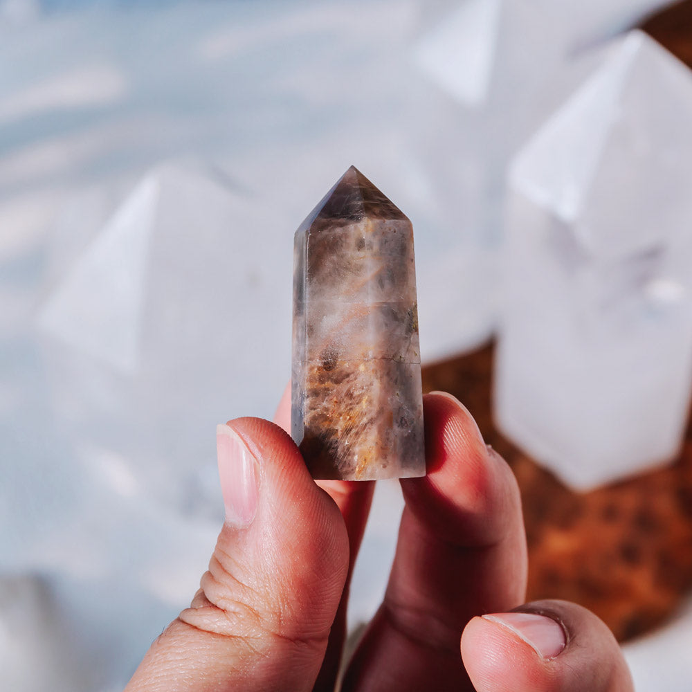 Reikistal 2'' Black Moonstone Point