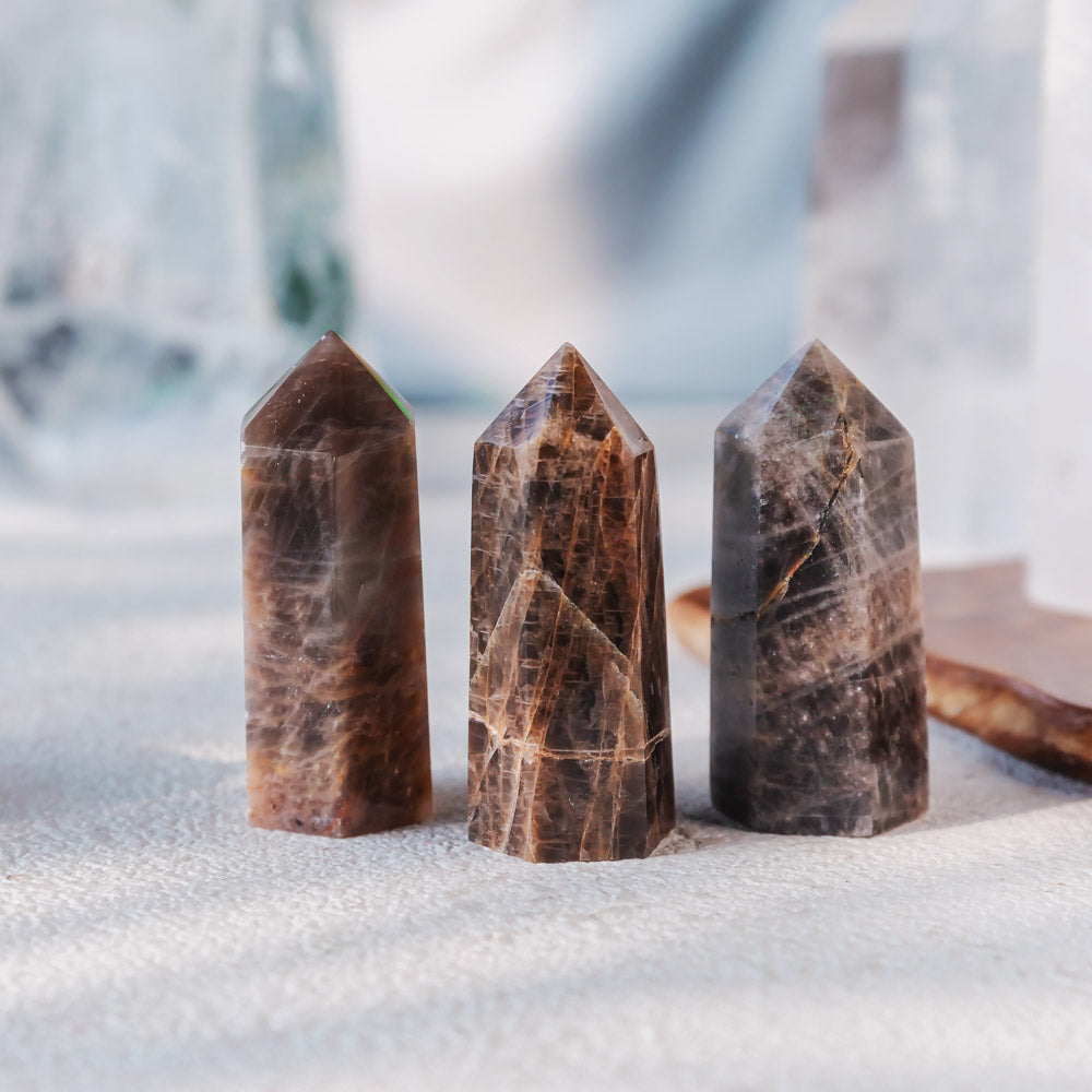 Reikistal 2'' Black Moonstone Point