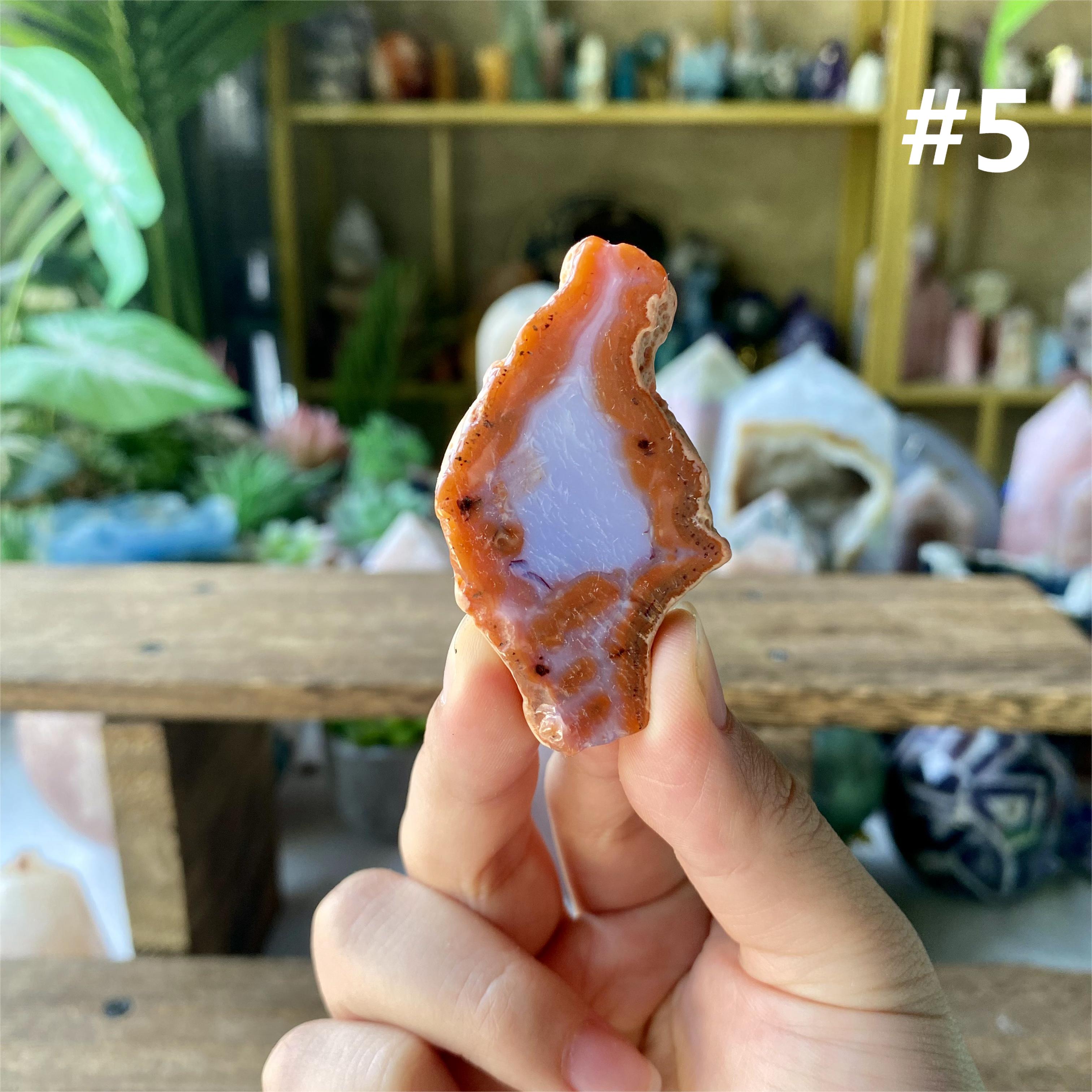 【Weekly Flash Deals】Colourful Agate Slice