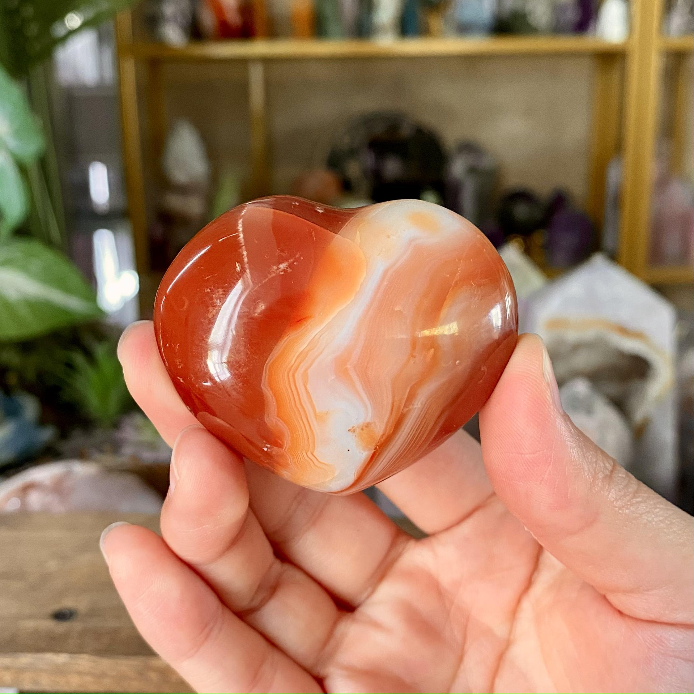 【Weekly Flash Deals】Carving 39