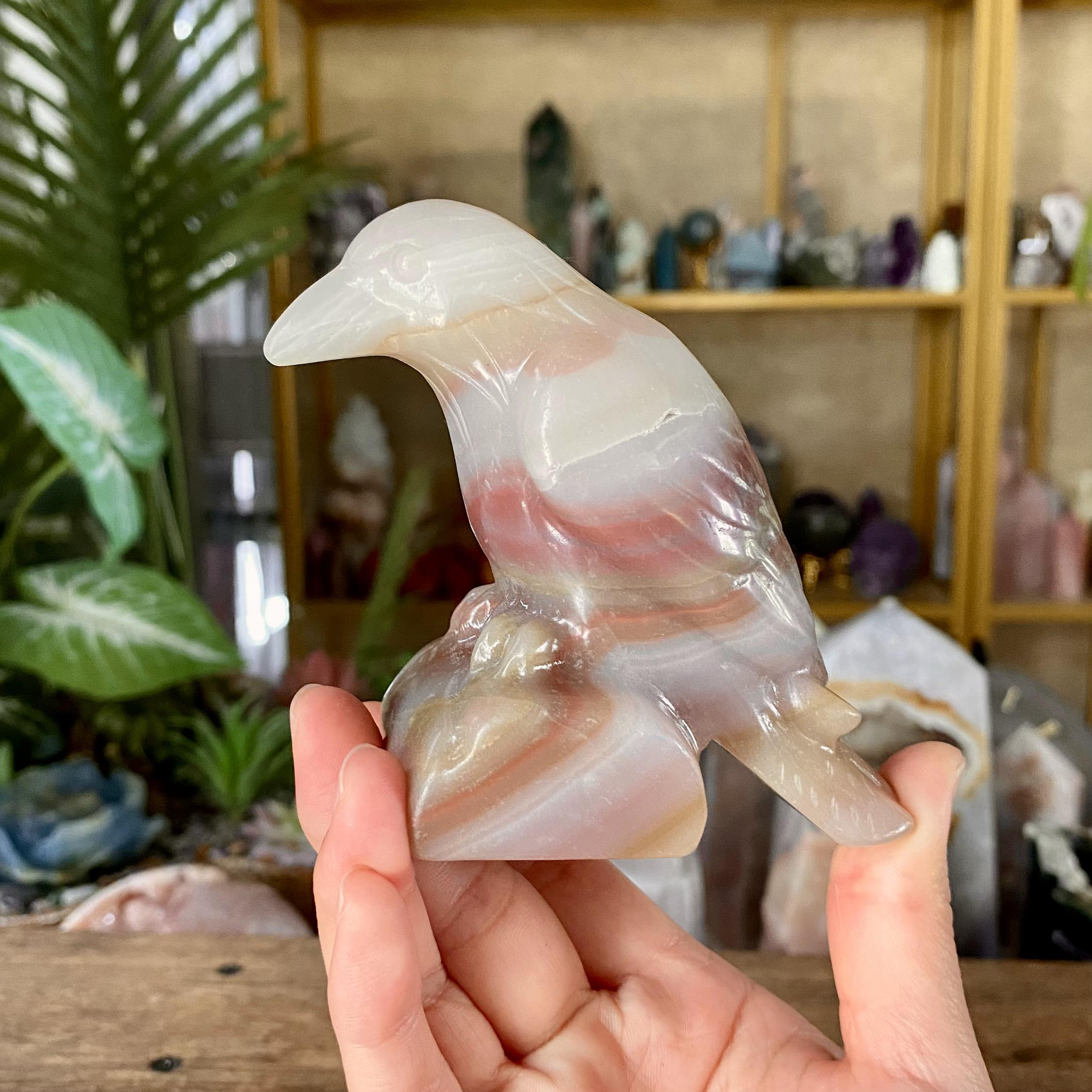 【Weekly Flash Deals】Carving 69