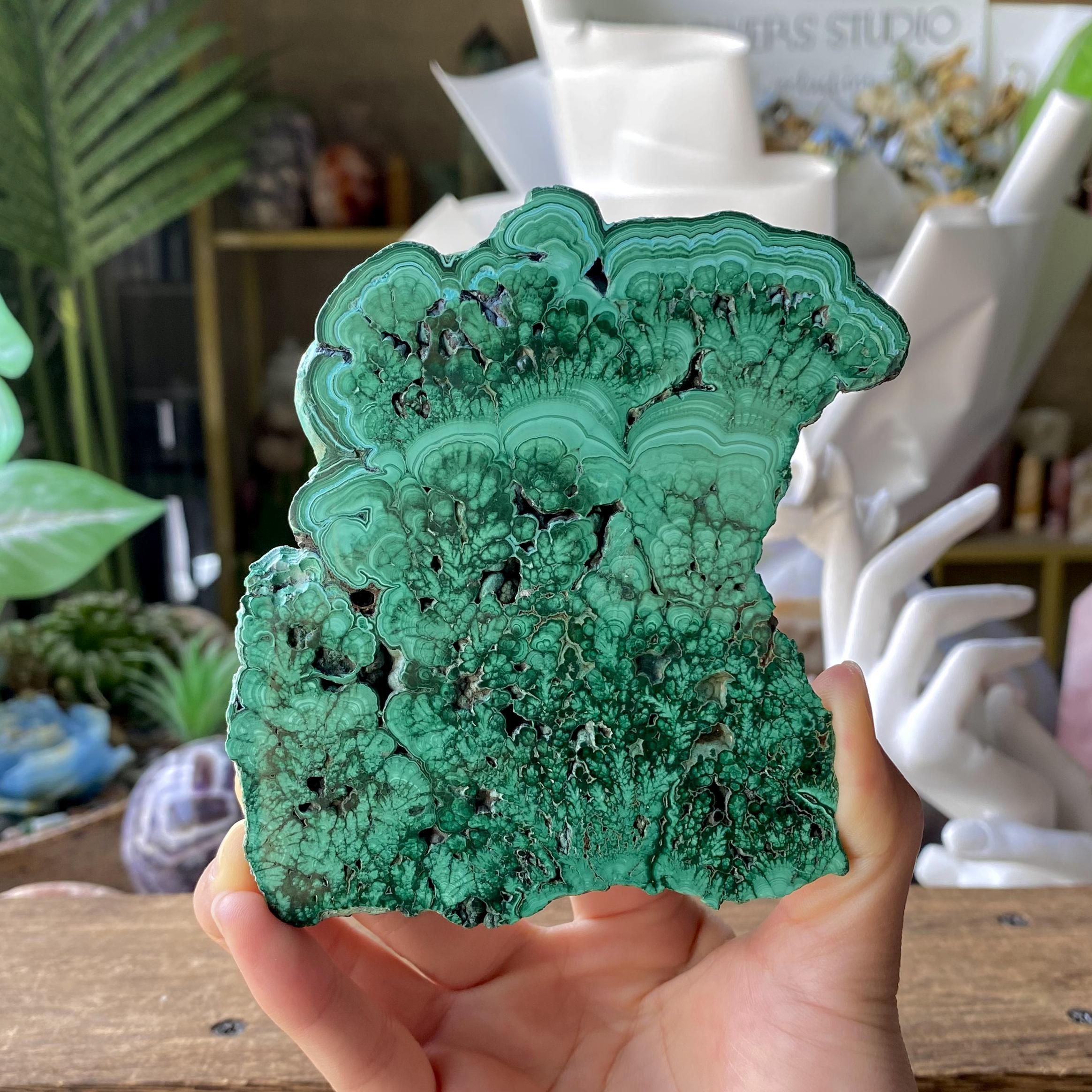 【Weekly Flash Deals】Malachite Slice
