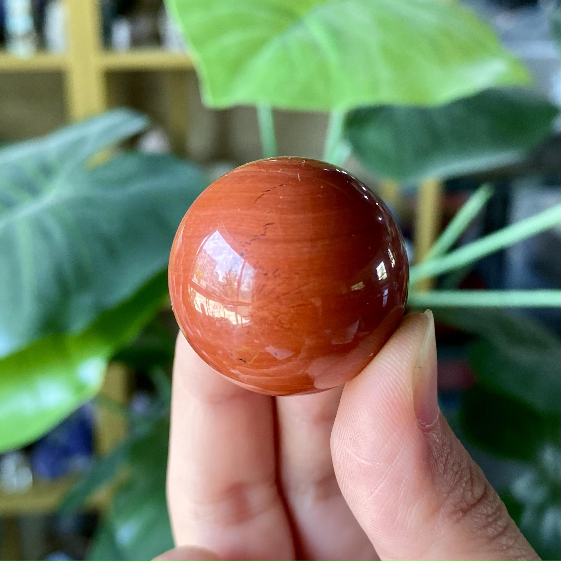 【Weekly Flash Deals】Carving 101