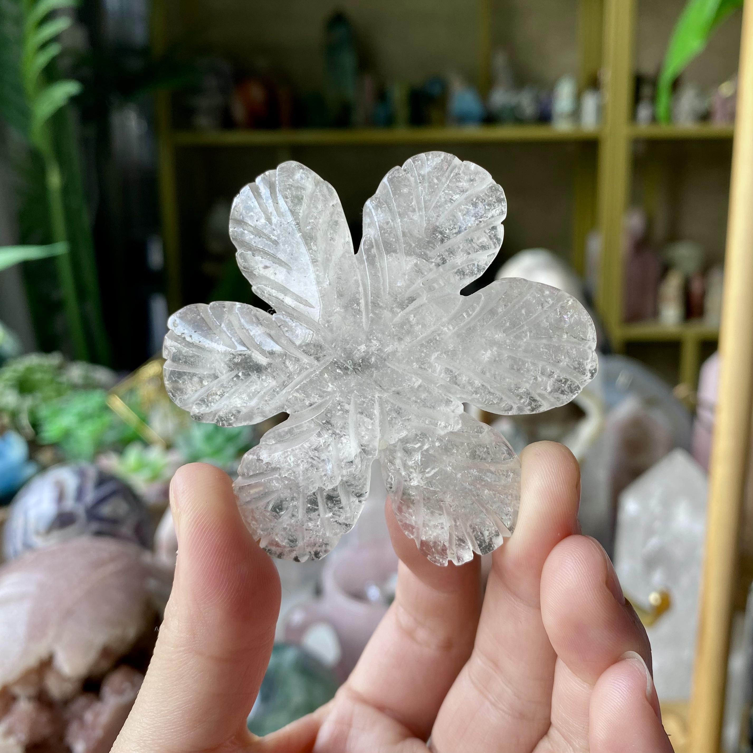 【Weekly Flash Deals】Carving 66