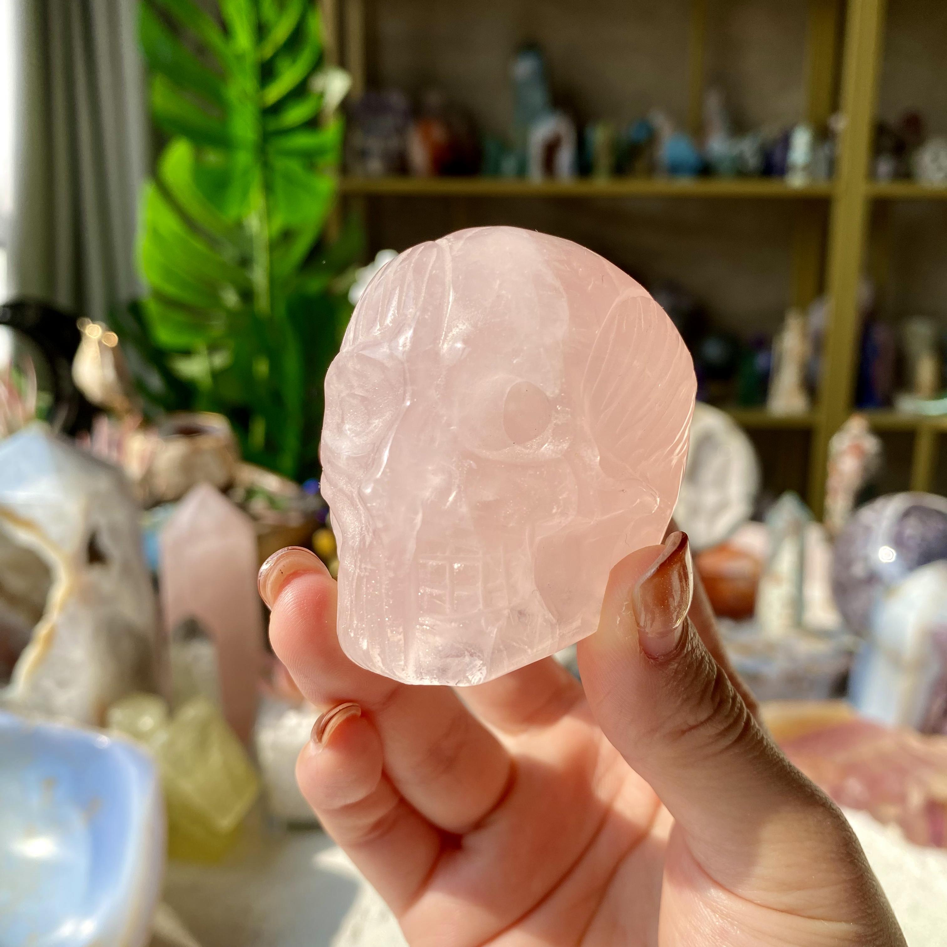 【Weekly Flash Deals】Carving 1