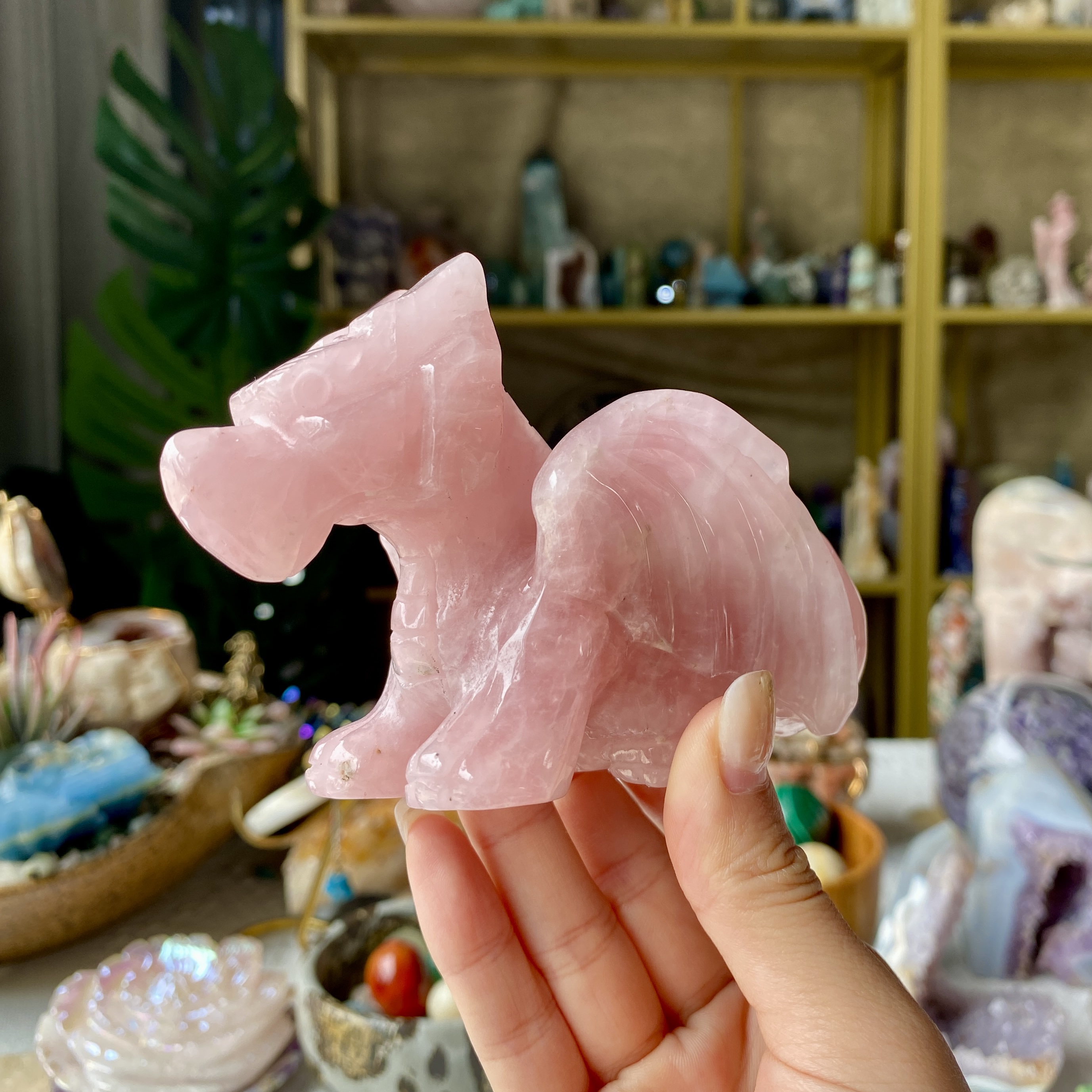 【Weekly Flash Deals】Carving 2