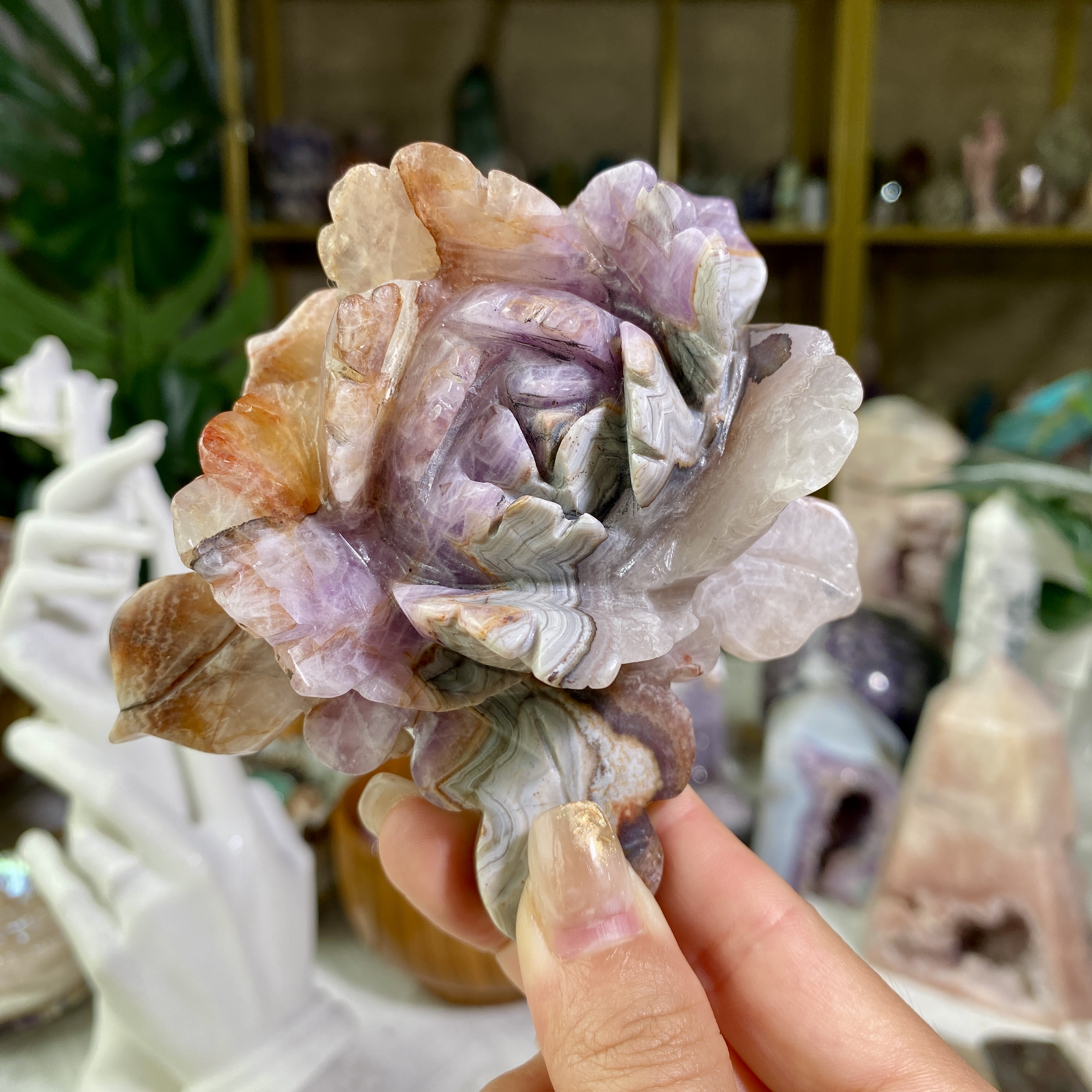 【Weekly Flash Deals】Carving 3