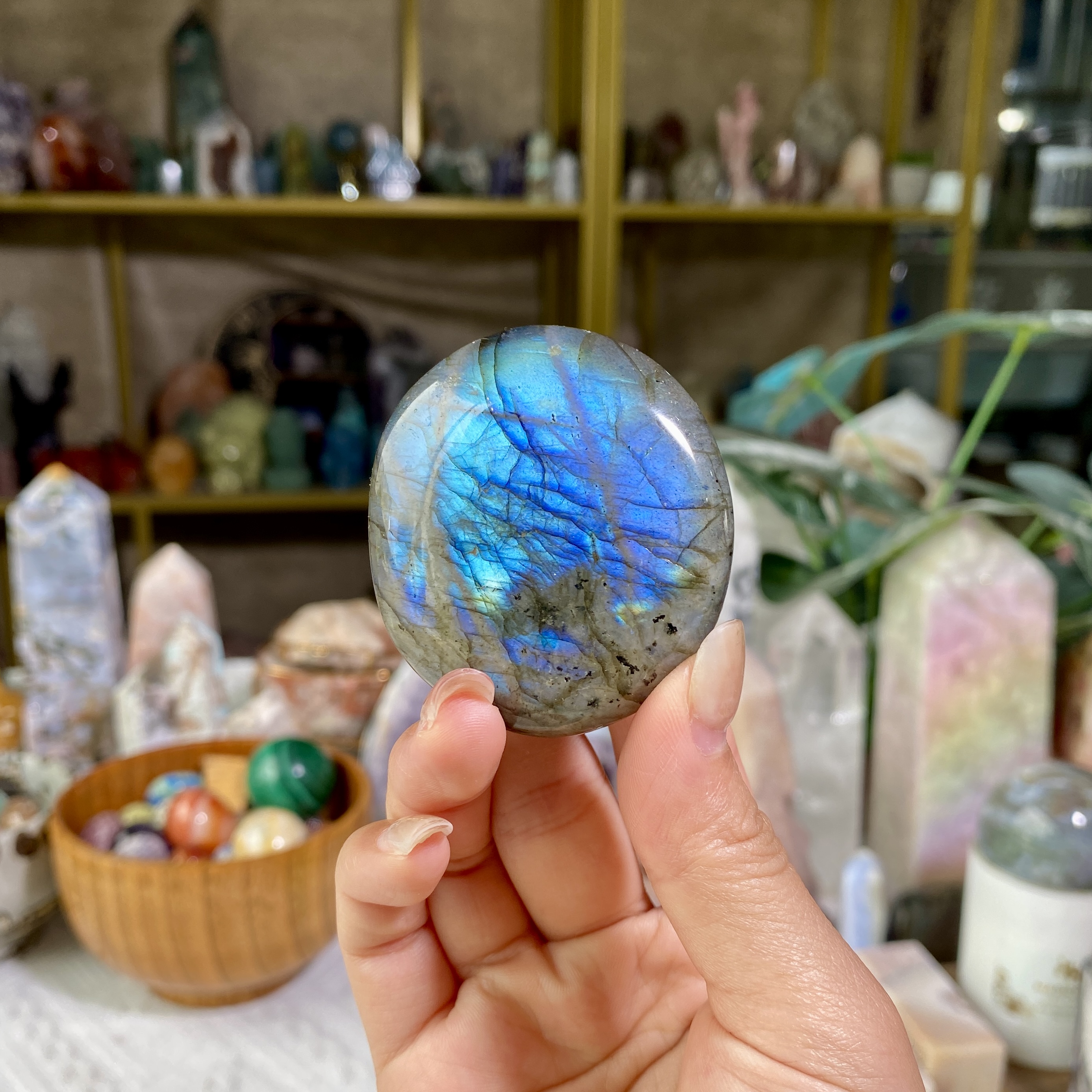 【Weekly Flash Deals】Carving 3