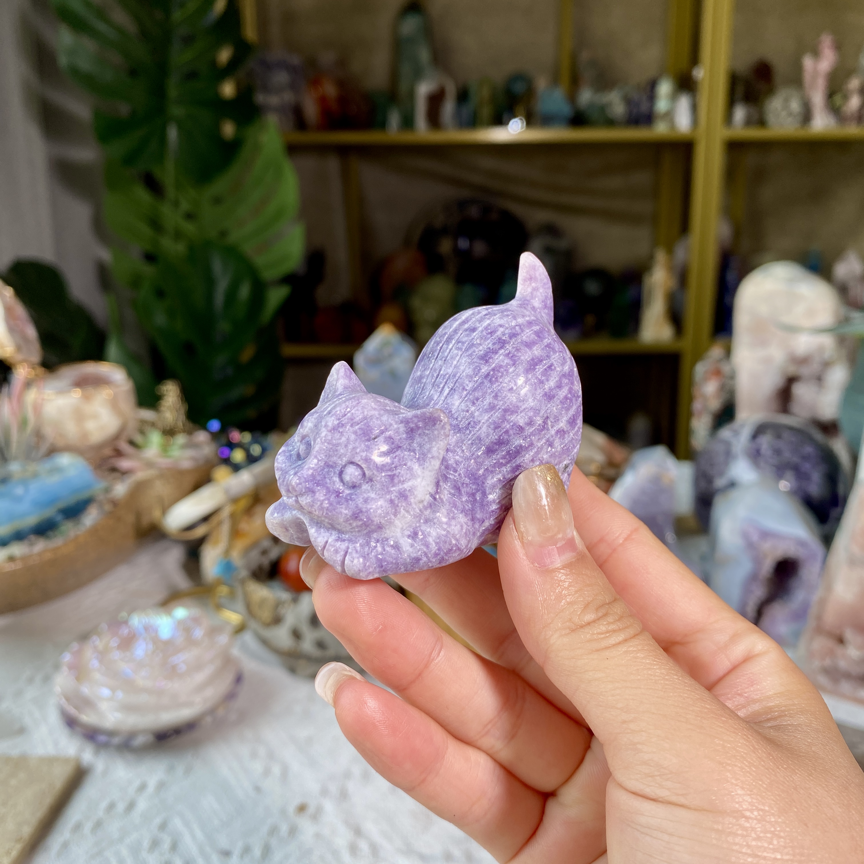 【Weekly Flash Deals】Carving 4