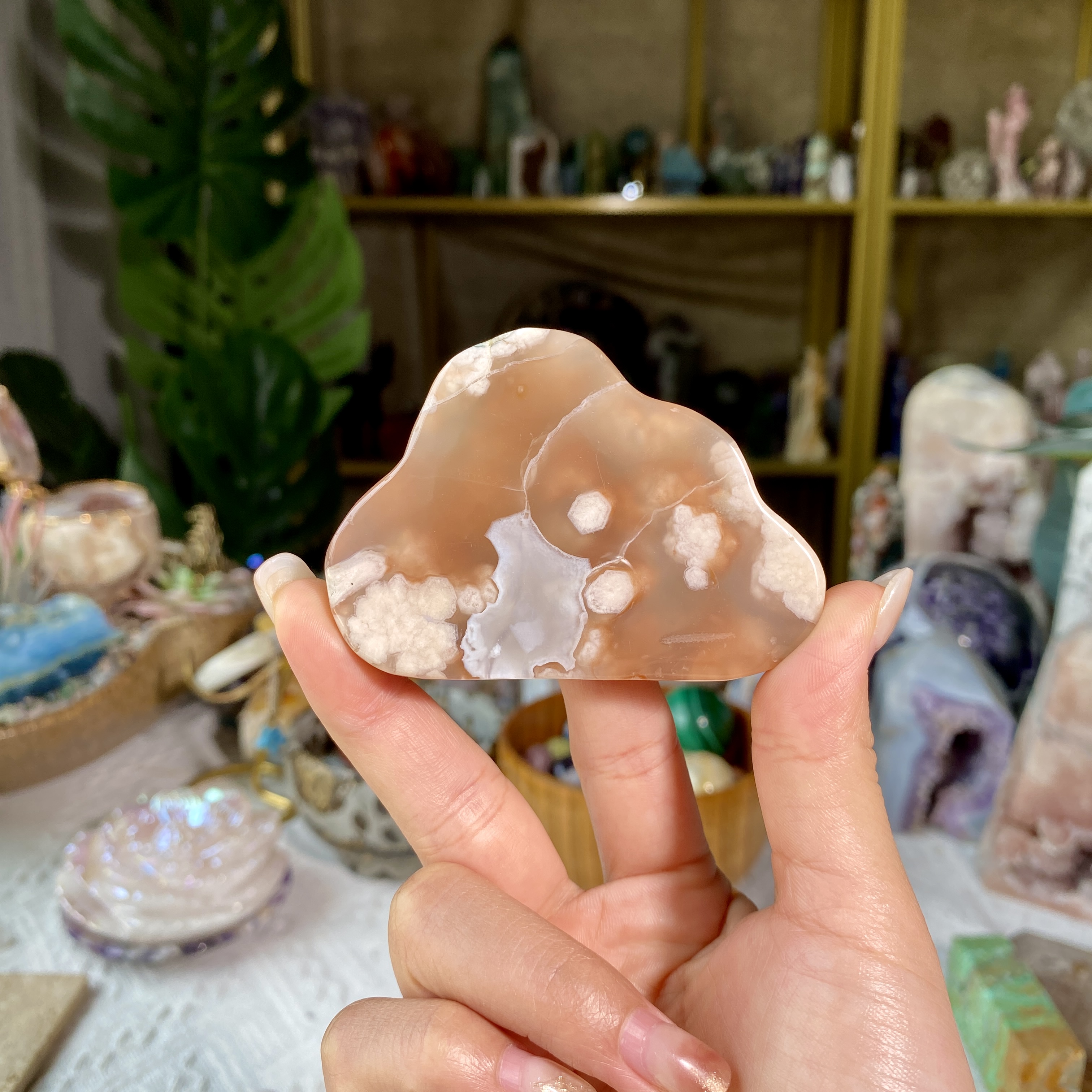 【Weekly Flash Deals】Carving 4