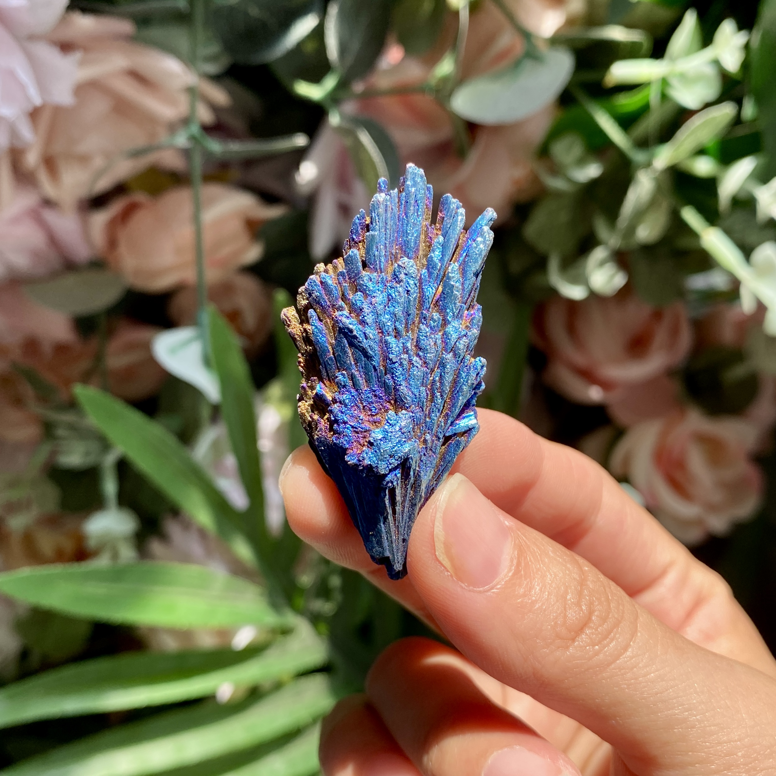 【Weekly Flash Deals】Aura Black Tourmaline Peacock Blue Feathers