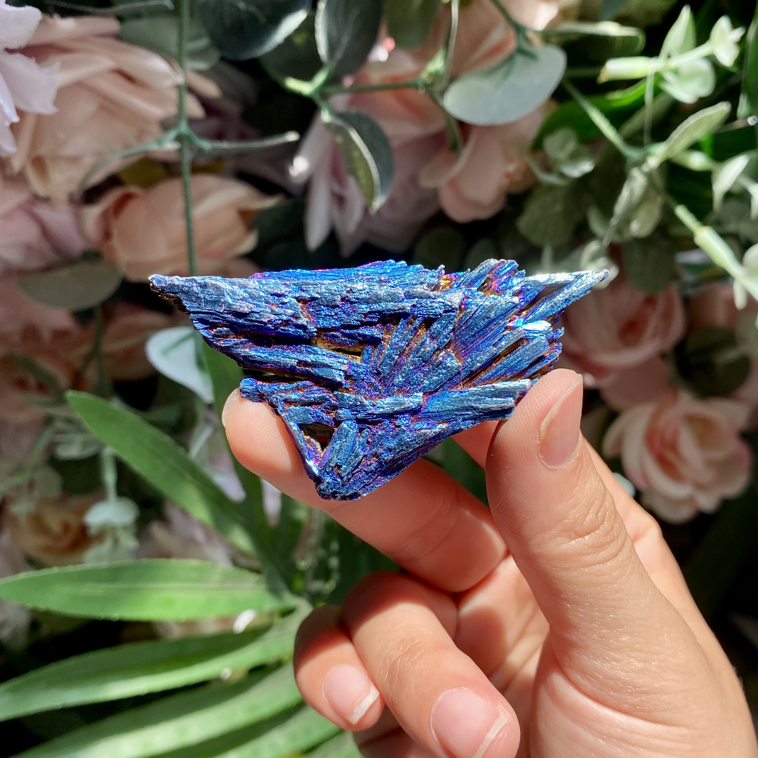 【Weekly Flash Deals】Aura Black Tourmaline Peacock Blue Feathers