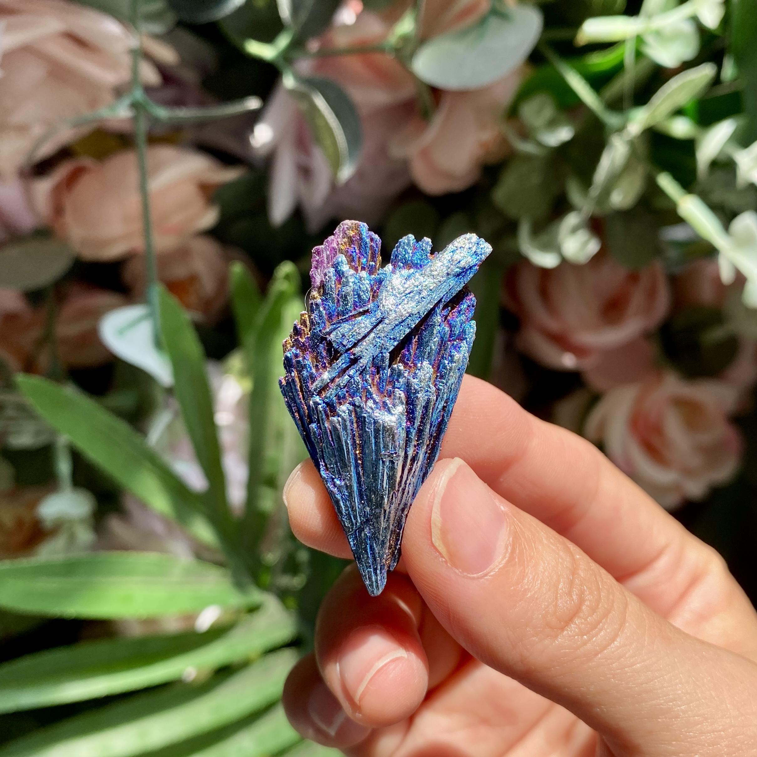 【Weekly Flash Deals】Aura Black Tourmaline Peacock Blue Feathers