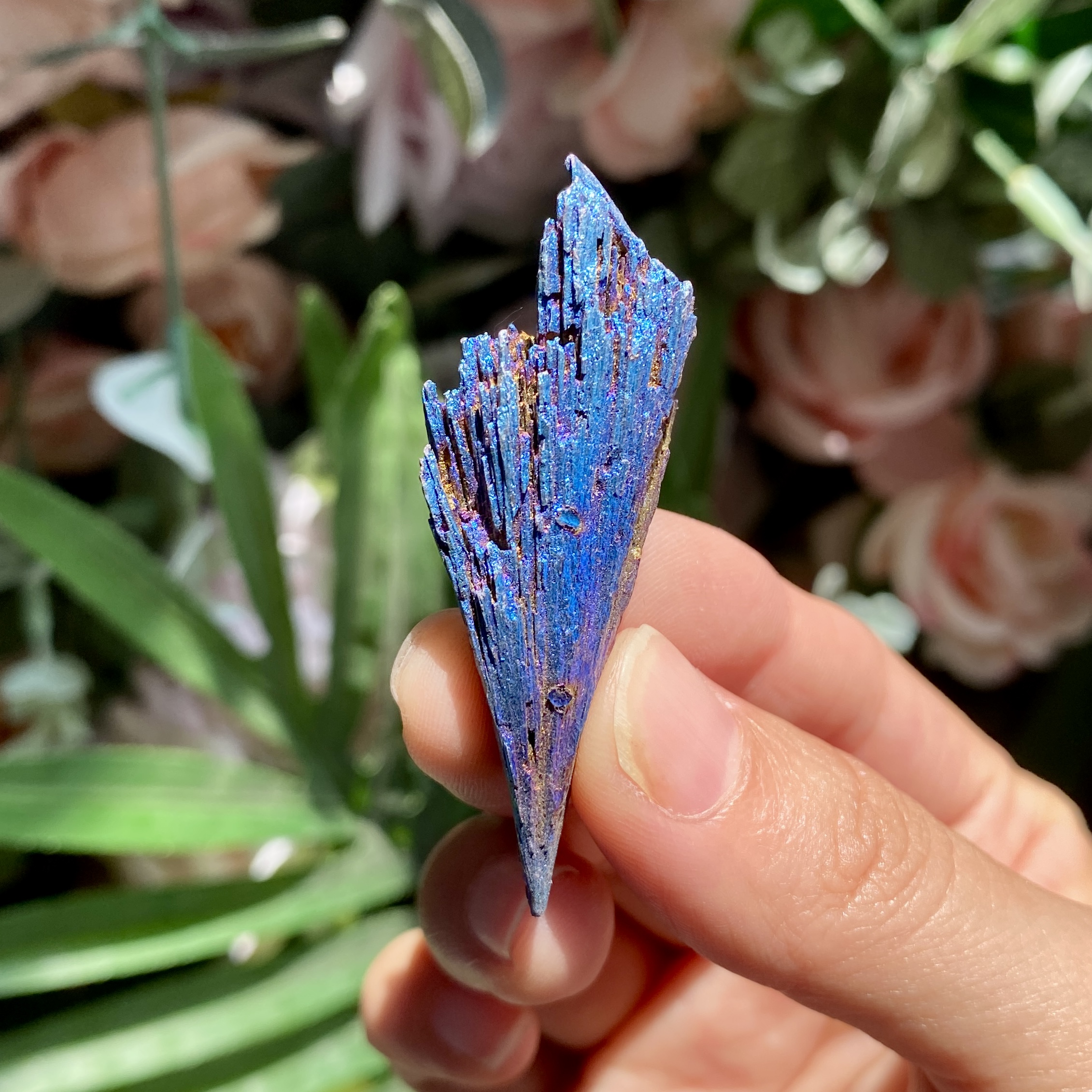 【Weekly Flash Deals】Aura Black Tourmaline Peacock Blue Feathers