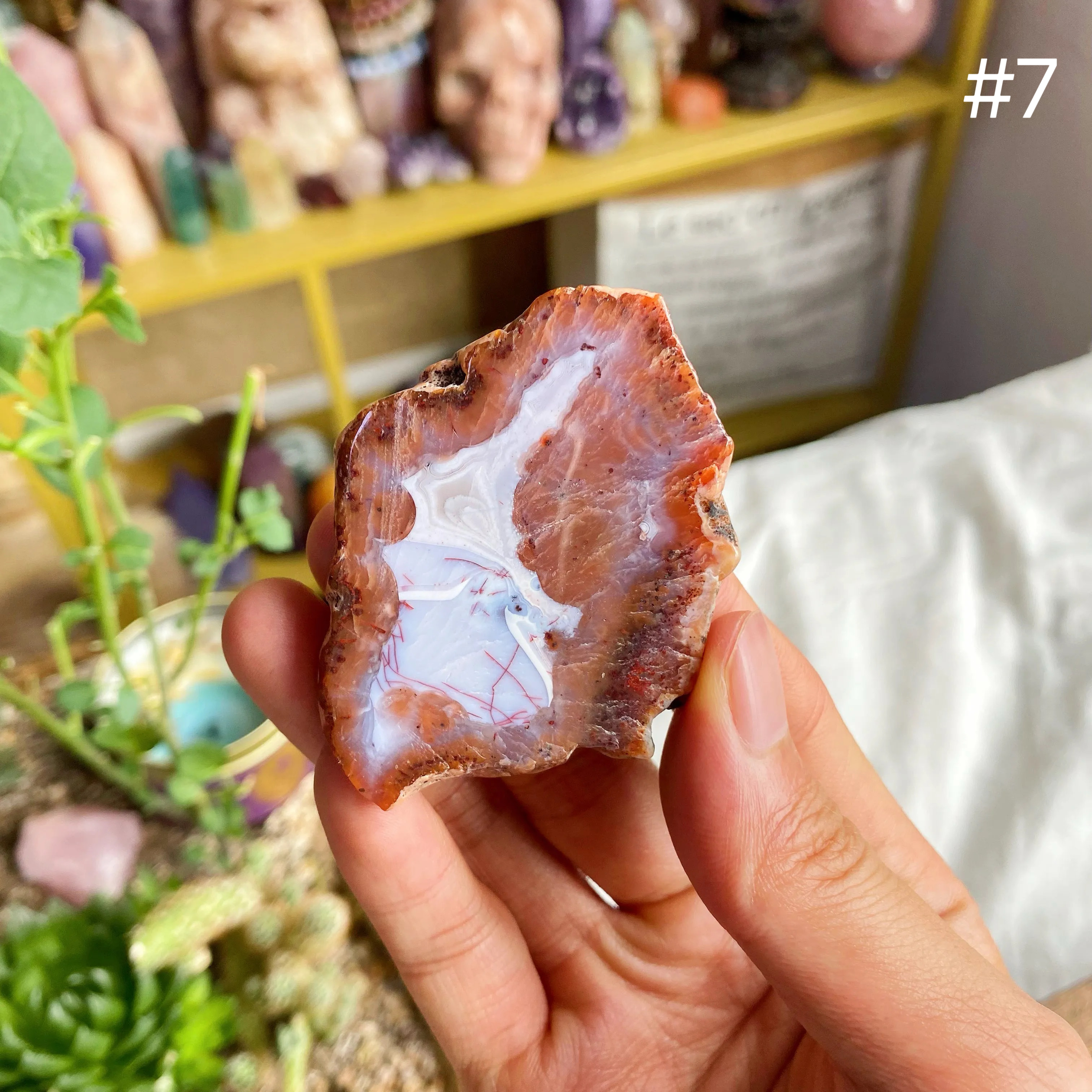 【Weekly Flash Deals】Colourful Agate Slice