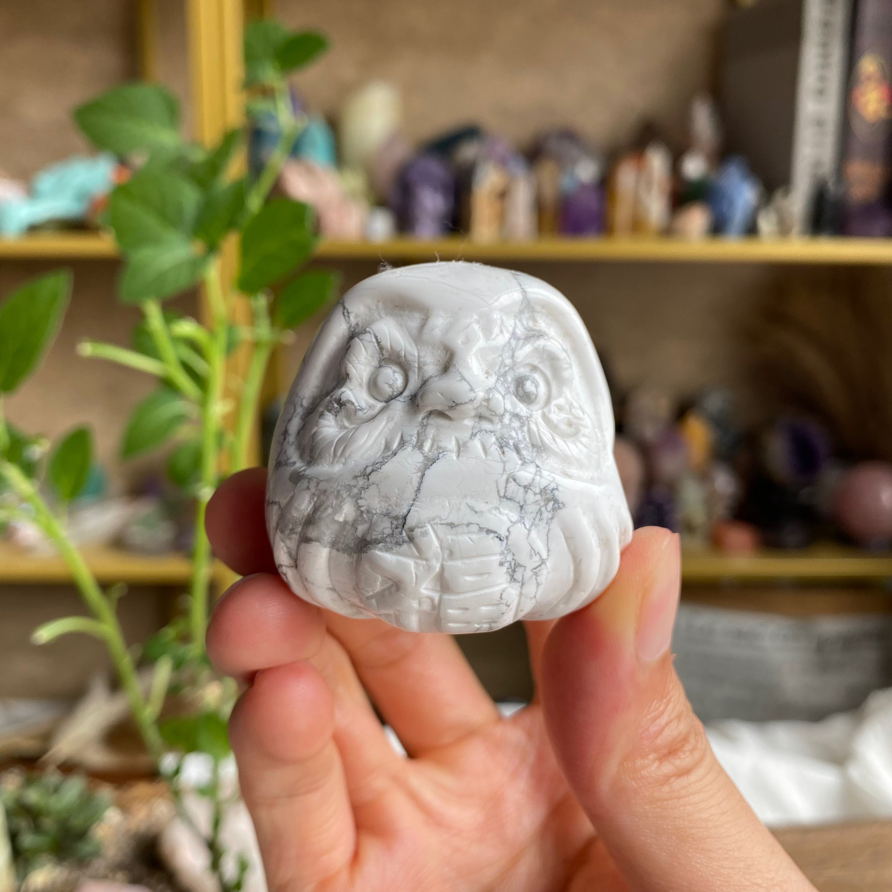 【Weekly Flash Deals】Carving 66