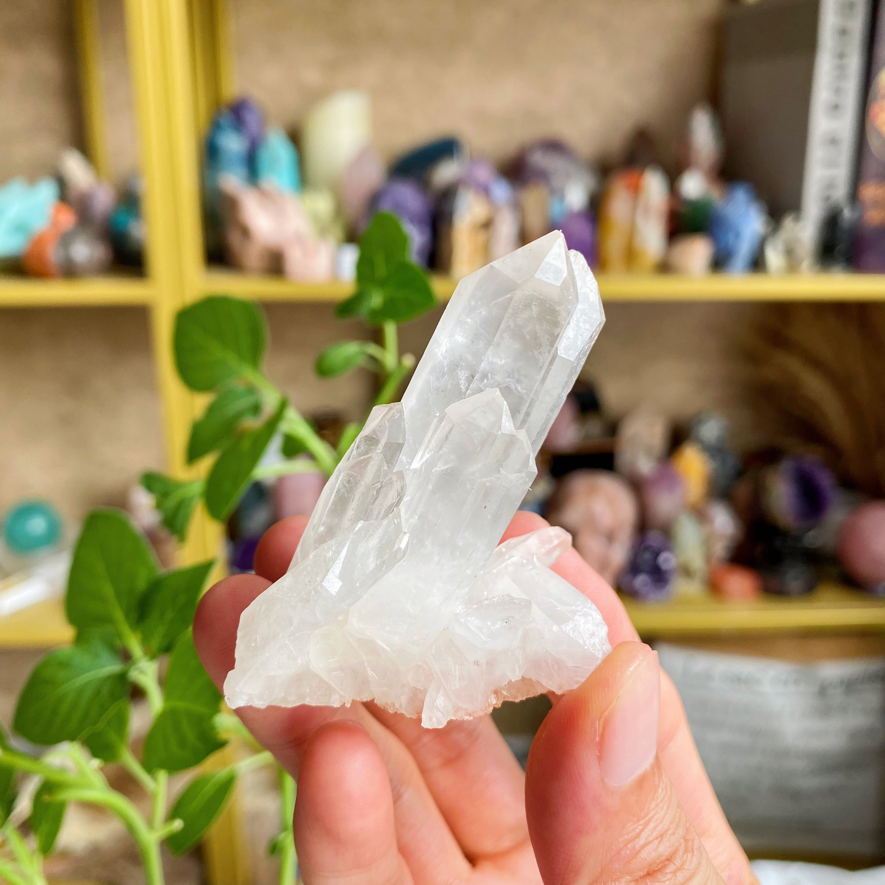 【Weekly Flash Deals】Clear Quartz Cluster 3