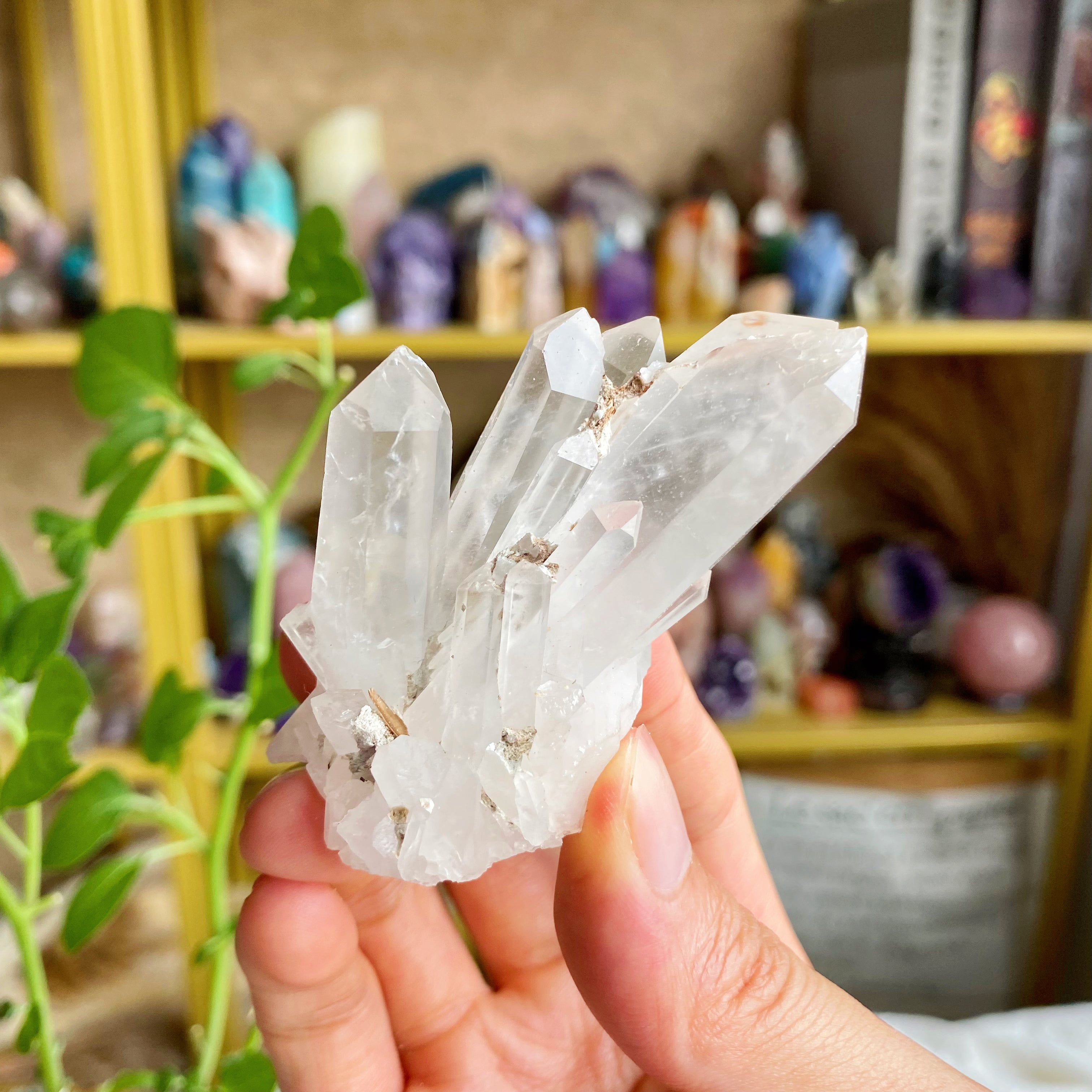 【Weekly Flash Deals】Clear Quartz Cluster 3