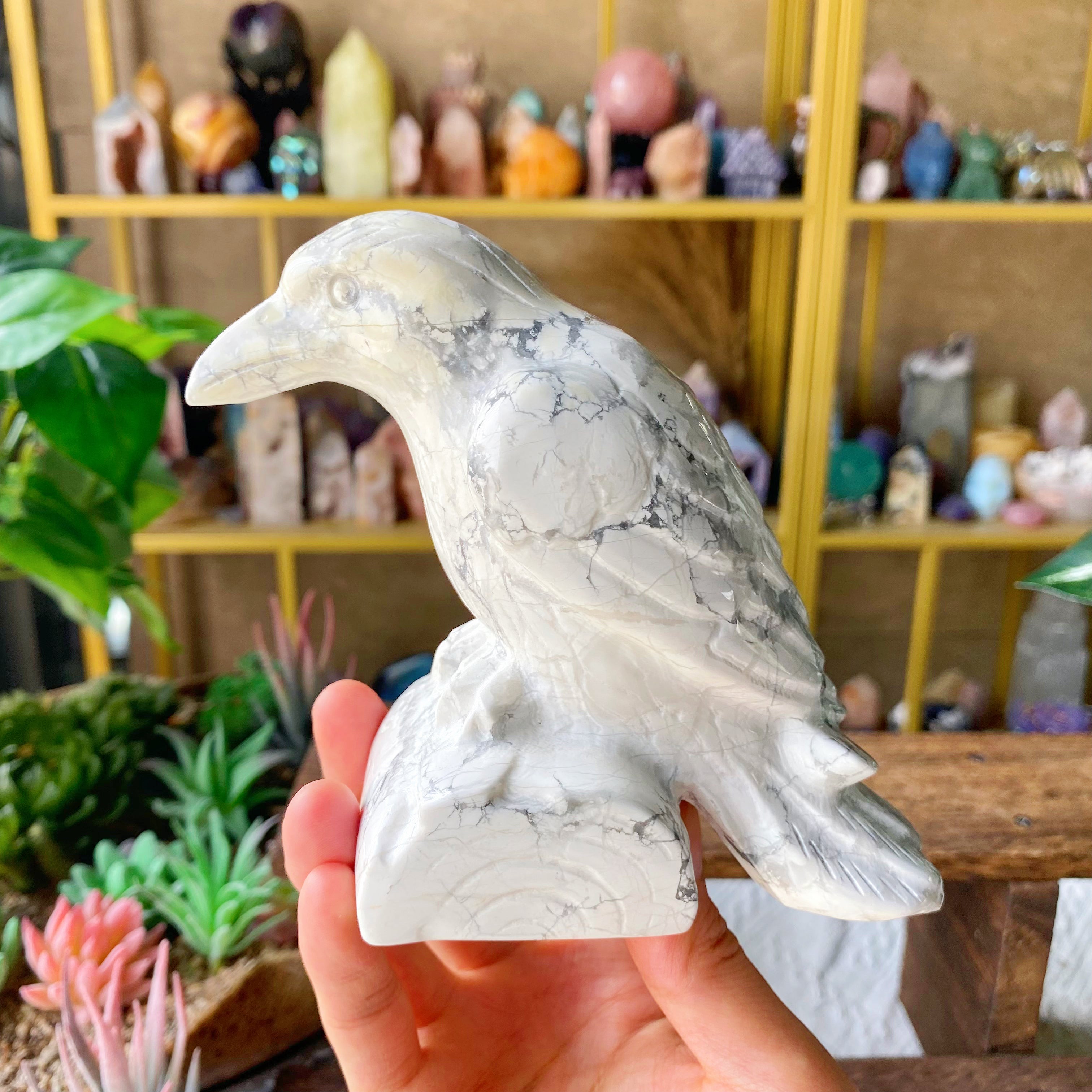 【Weekly Flash Deals】Carving 105