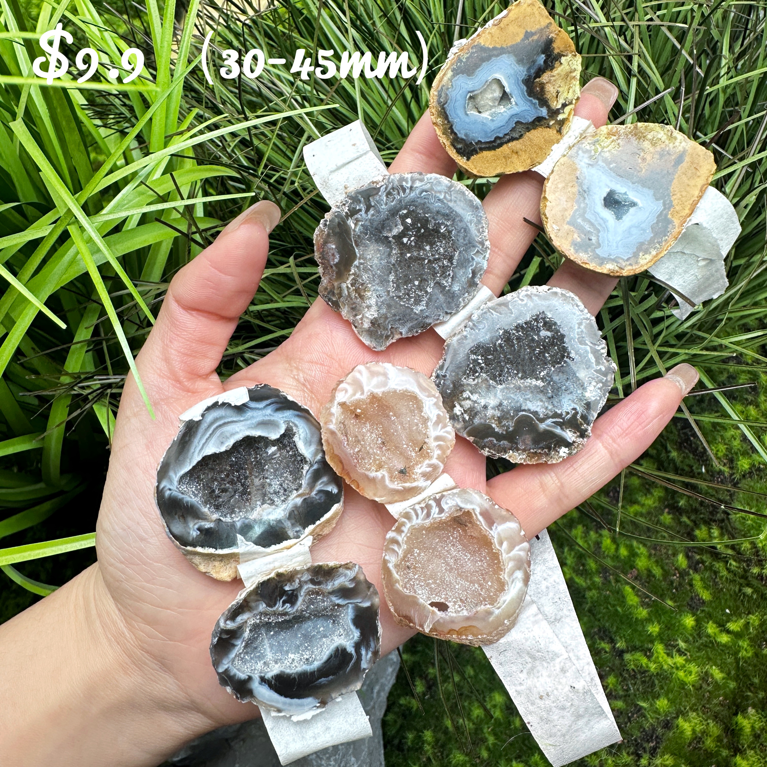 Natural Agate Geode For【Live】
