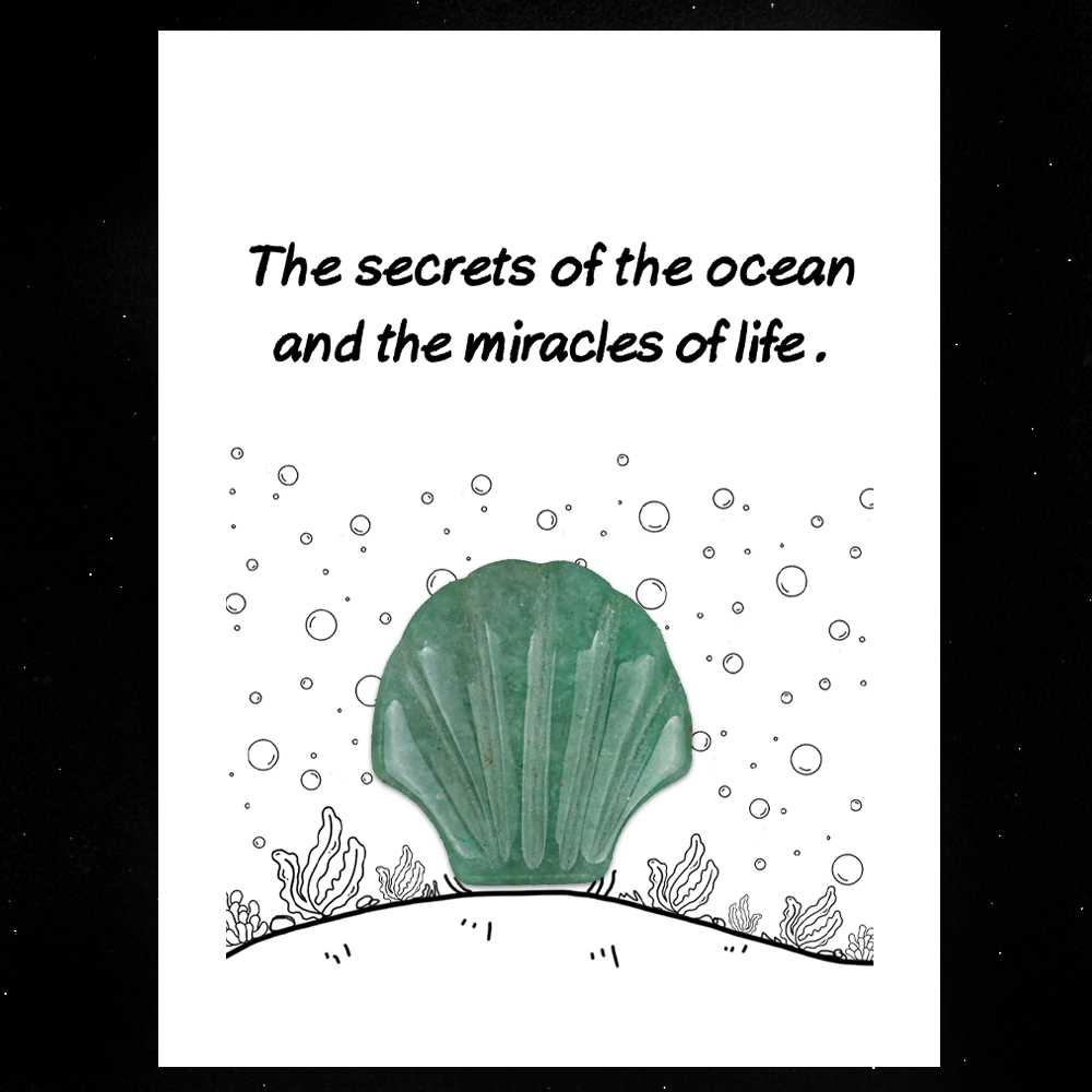 [Copy]Handmade Craved 30MM Gemstone Shell for Home & Office Decor SP1383-in card packing