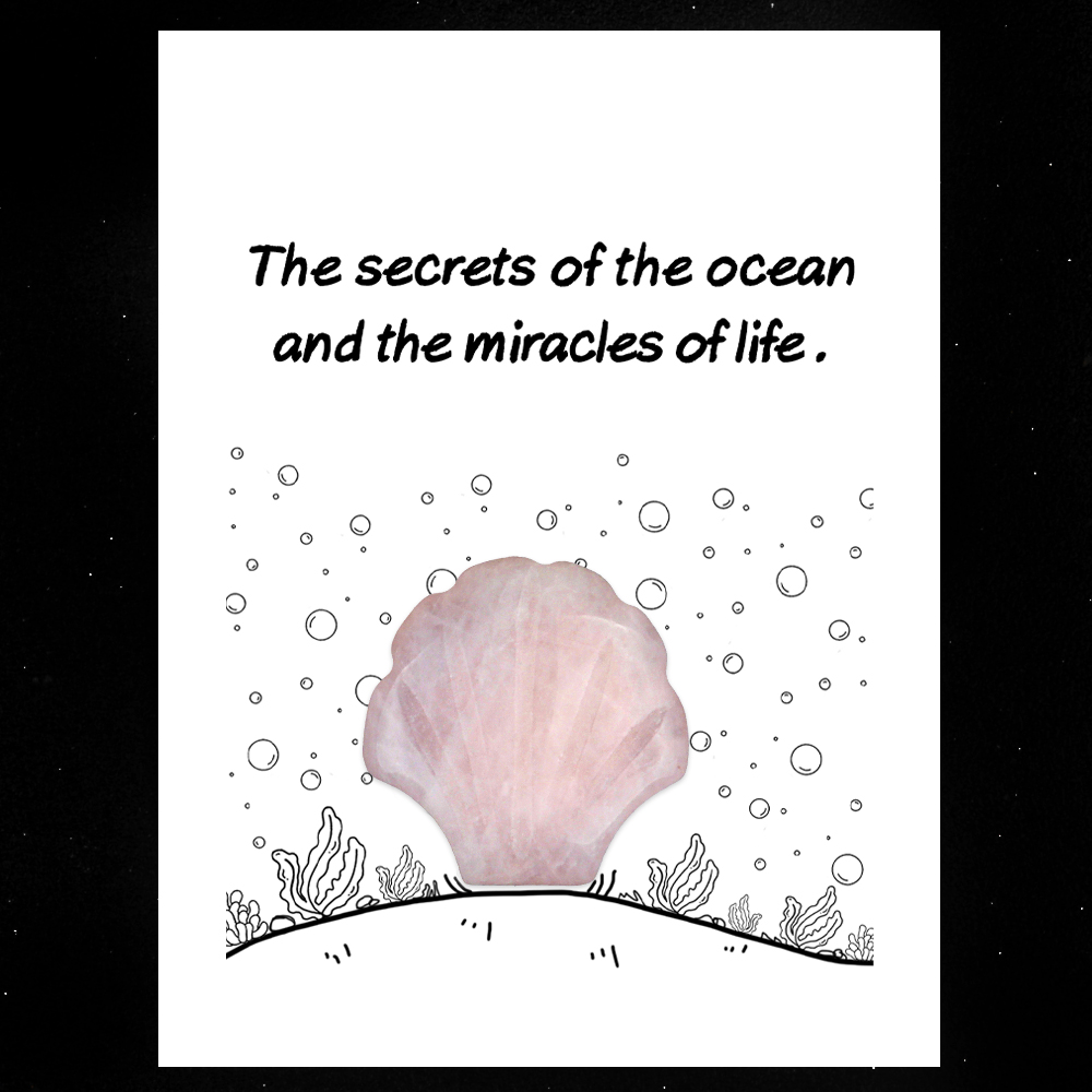 [Copy]Handmade Craved 30MM Gemstone Shell for Home & Office Decor SP1383-in card packing