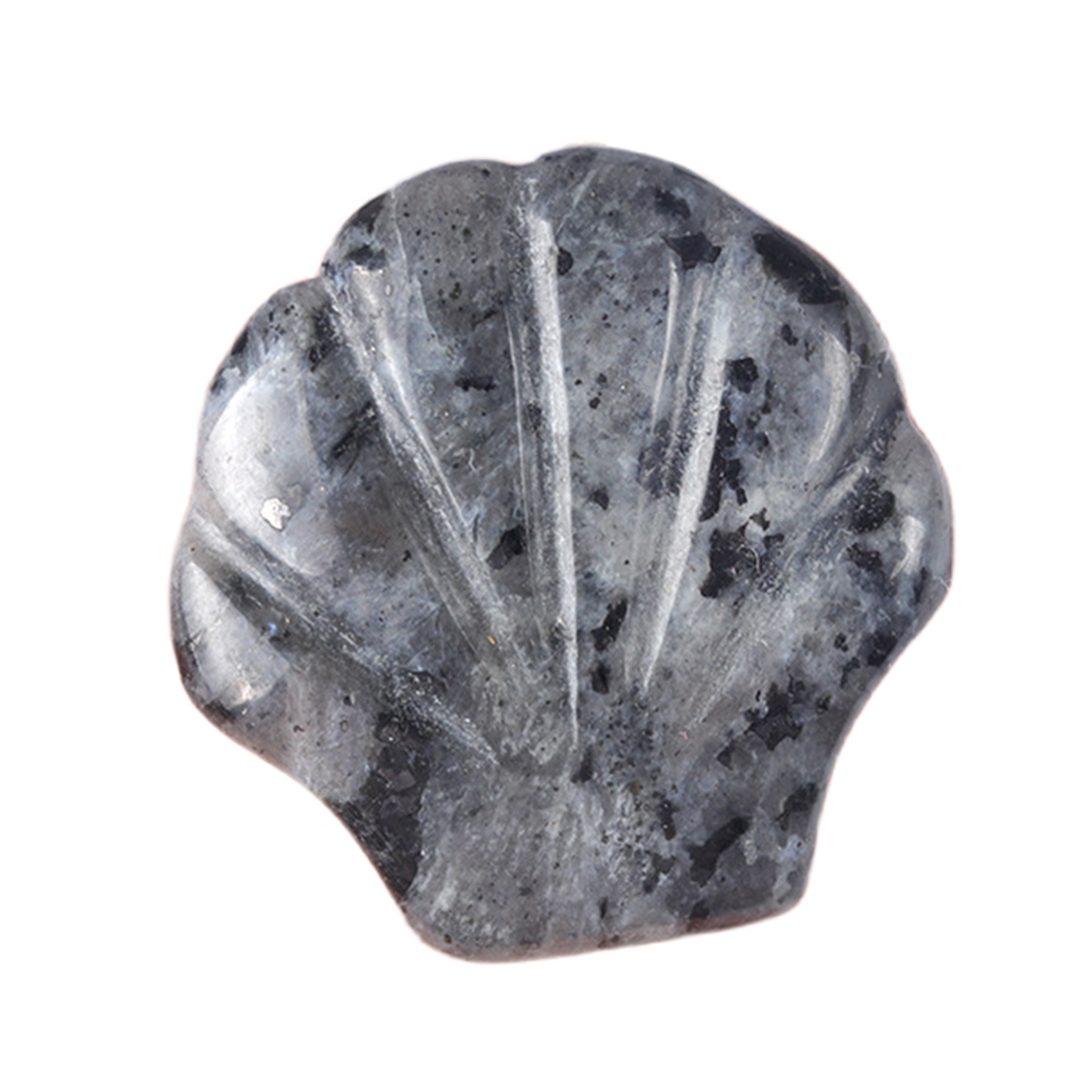 Handmade Craved 30MM Gemstone Shell for Home & Office Decor SP1383