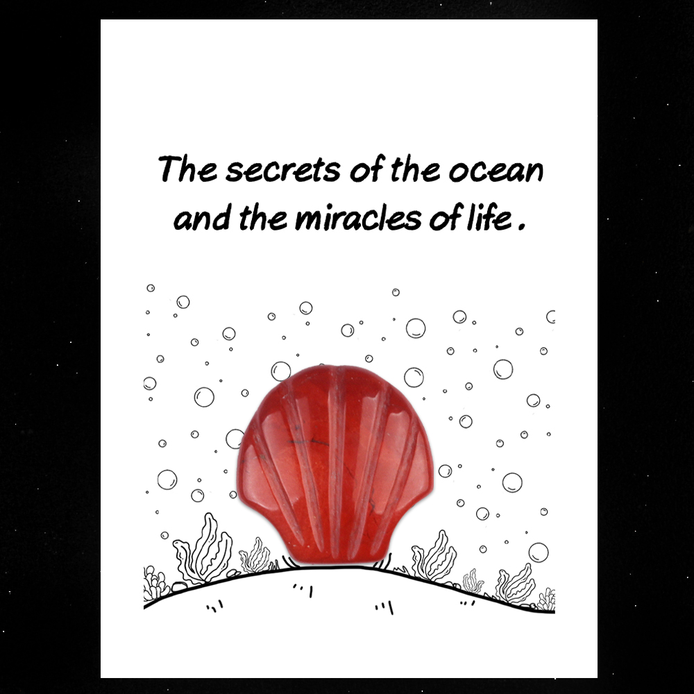 [Copy]Handmade Craved 30MM Gemstone Shell for Home & Office Decor SP1383-in card packing