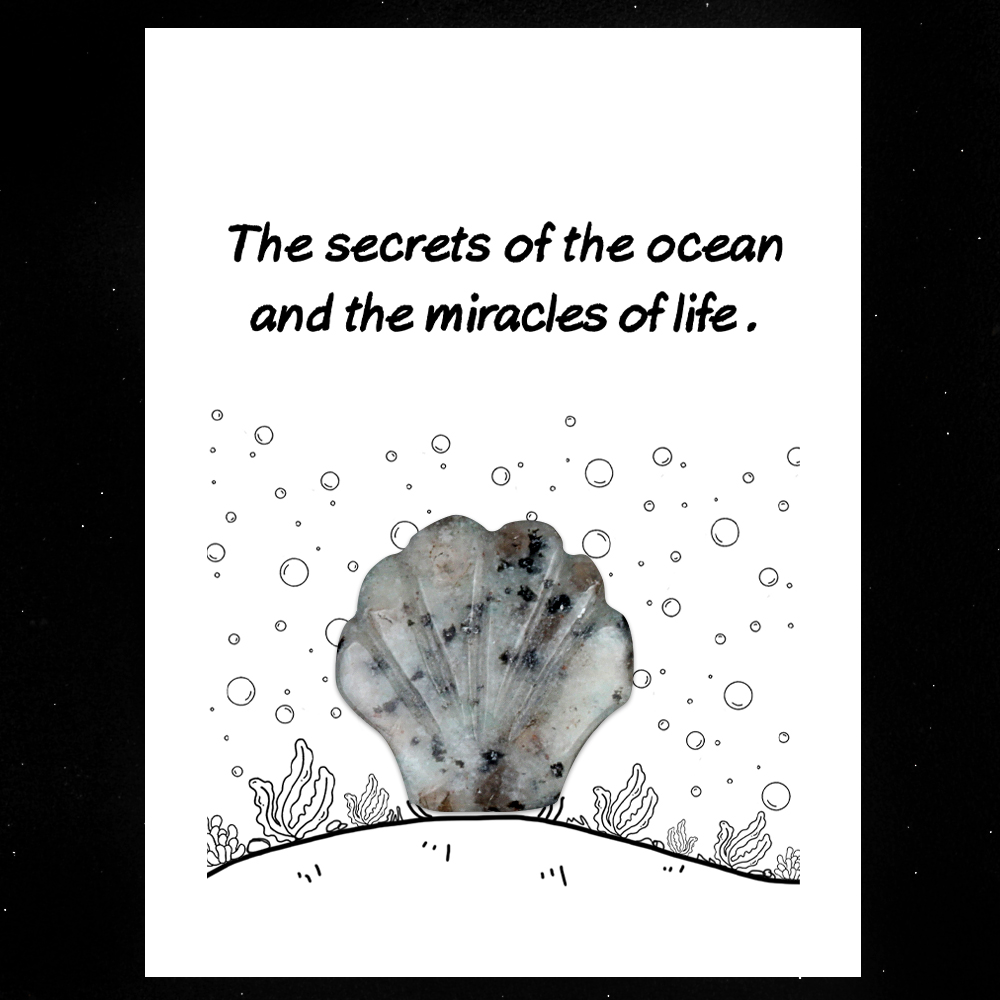 [Copy]Handmade Craved 30MM Gemstone Shell for Home & Office Decor SP1383-in card packing