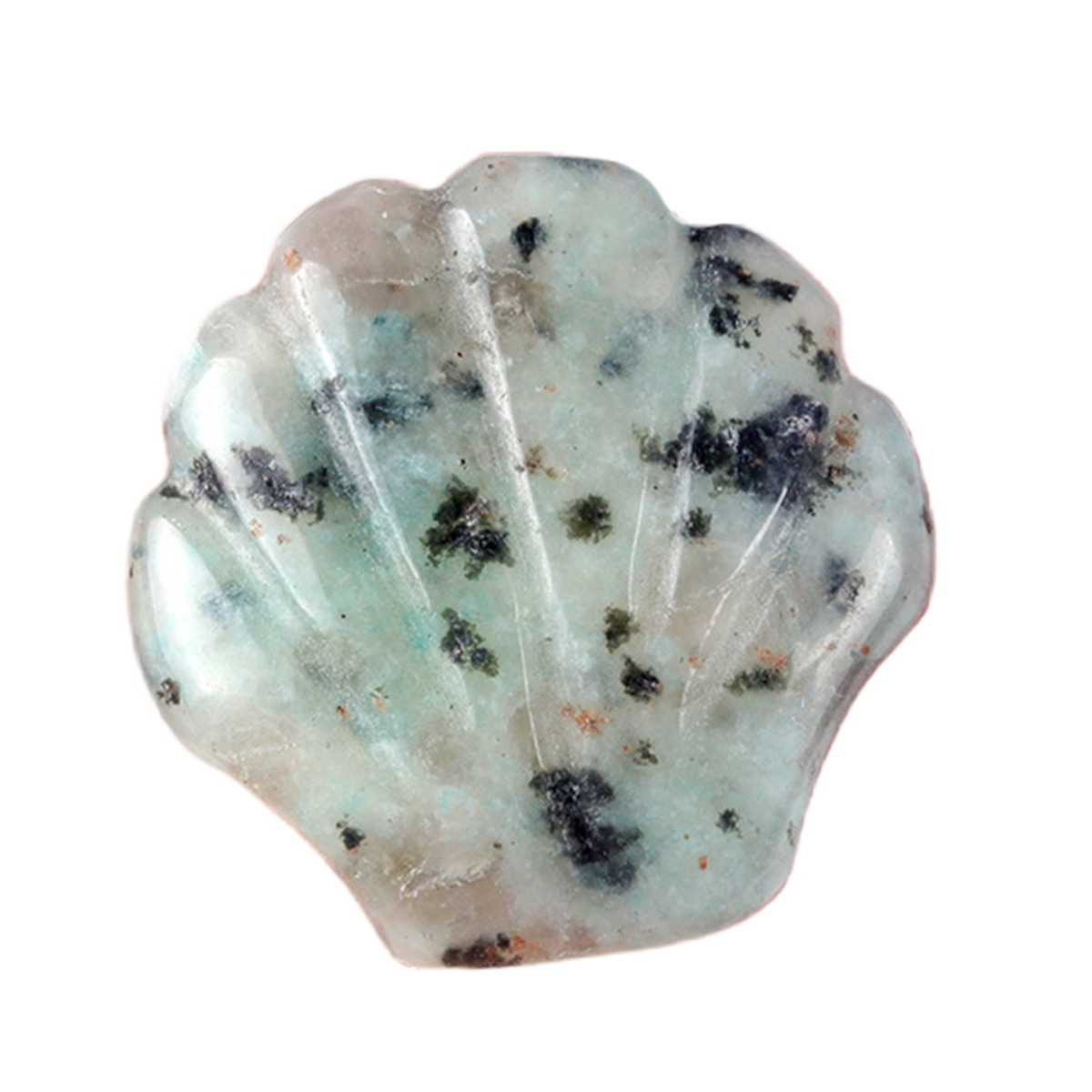 Handmade Craved 30MM Gemstone Shell for Home & Office Decor SP1383