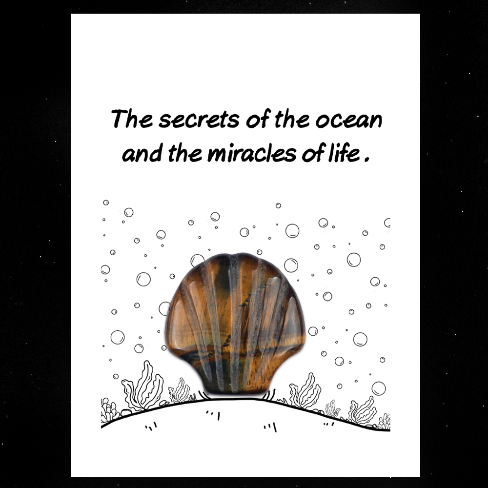 [Copy]Handmade Craved 30MM Gemstone Shell for Home & Office Decor SP1383-in card packing